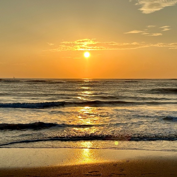 Meet your Posher, Shari - Picture 1 of 1